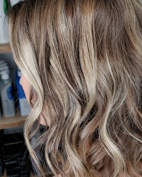 Nikki Lee Salon In Poulsbo Wa Vagaro